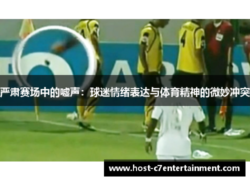 严肃赛场中的嘘声：球迷情绪表达与体育精神的微妙冲突