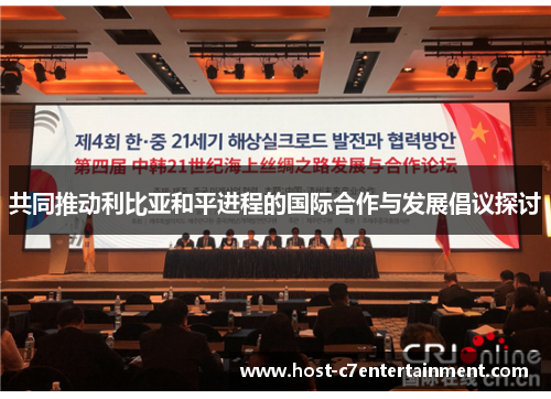 共同推动利比亚和平进程的国际合作与发展倡议探讨