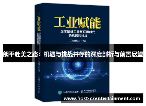 朗平赴美之路：机遇与挑战并存的深度剖析与前景展望