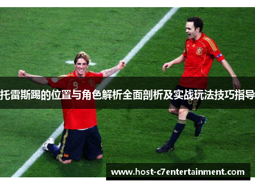 托雷斯踢的位置与角色解析全面剖析及实战玩法技巧指导