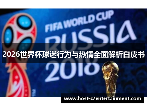 2026世界杯球迷行为与热情全面解析白皮书